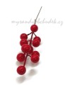 větvička bobule červená652bd516e2768